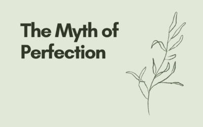 The Myth of Perfection in Diabetes