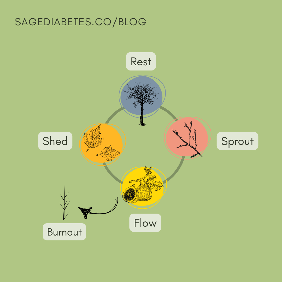 An image that shows the four seasons, Winter is Rest, Spring is Sprout, Summer is Flow, and Fall is Shed. There is an arrow from Summer Flow pointing to Burnout which illustrates what happens if Summer Productivity lasts too long.